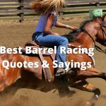 barrel racing quote_saying