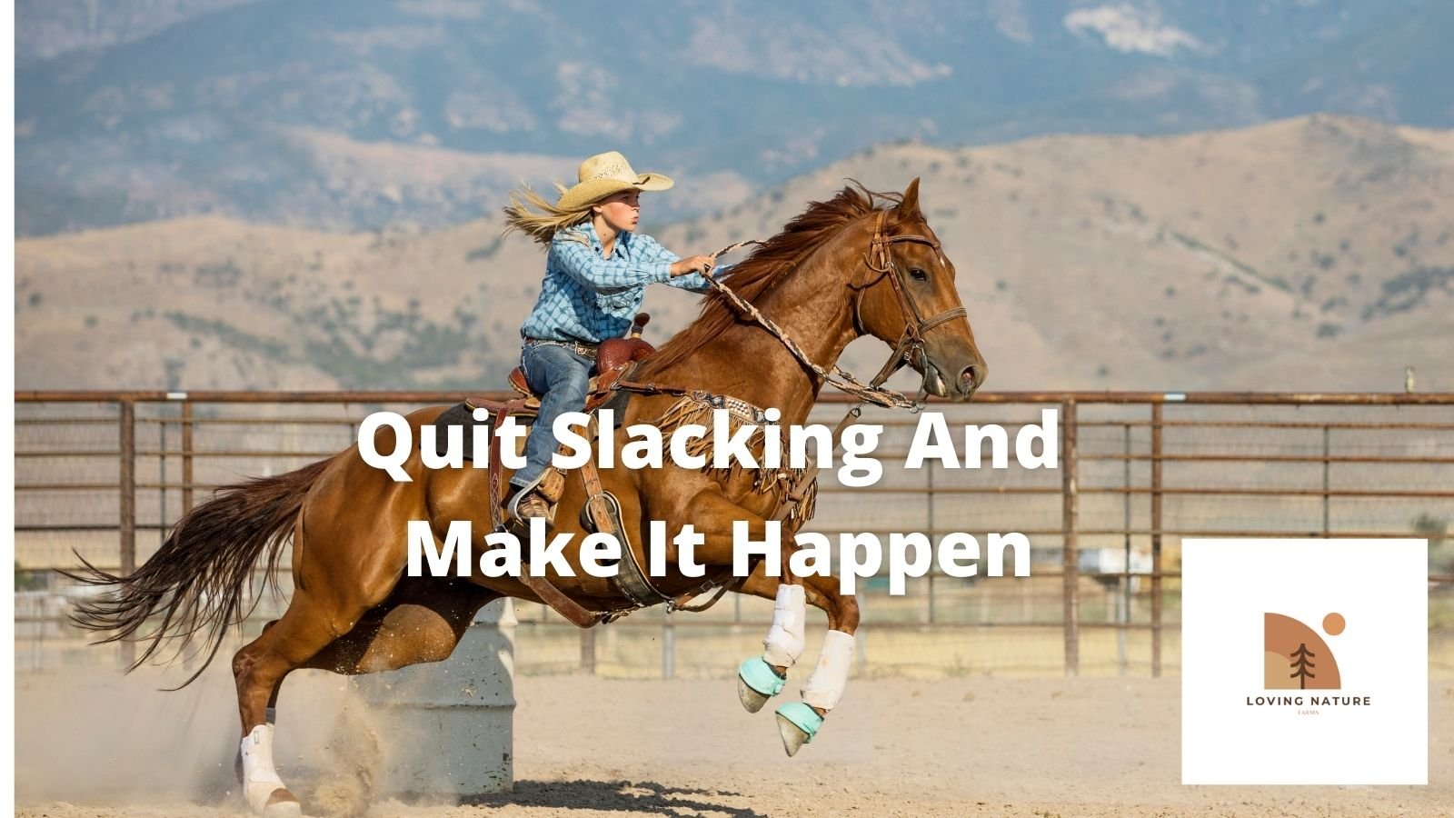 197+ Barrel Racing Quotes & Sayings: Great Sayings To Get You Motivated