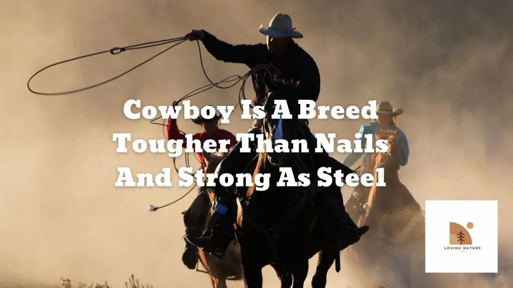 Best Cowboy quote2