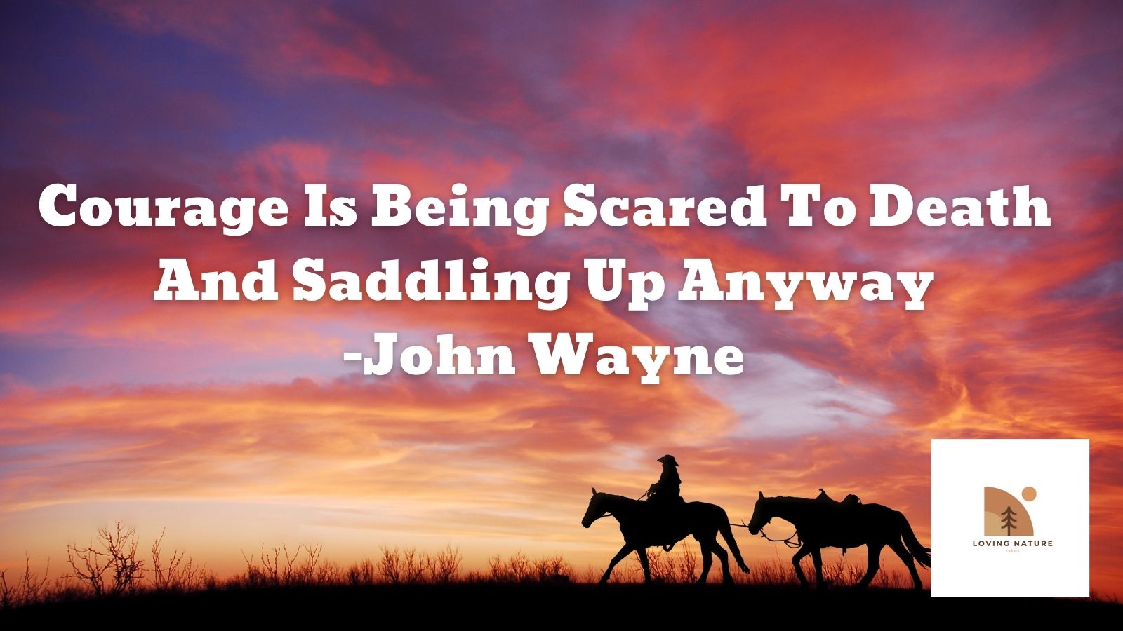 101+ Best Cowboy Quotes: Unique, Exciting & Motivating