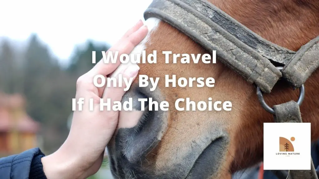 best horse sayings2