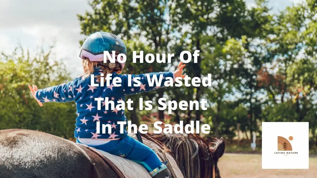 best horse sayings4