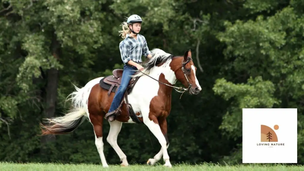 girl riding western horse
