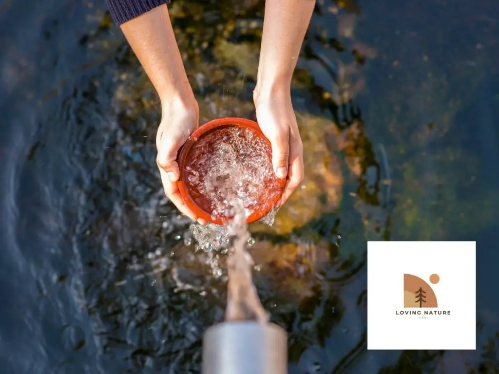 weighing water in bowl