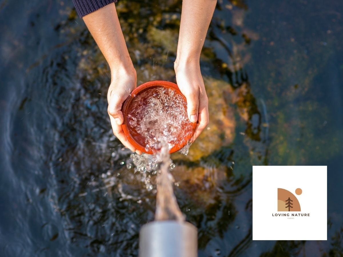How Much Does Water Weigh? Fun Facts About the Weight of Water