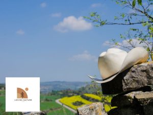 Different cowboy hats