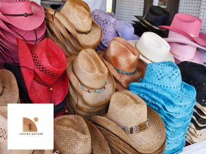 Different cowboy hats